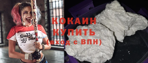 амф Няндома
