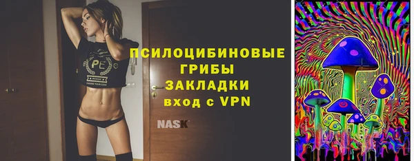 бошки Нягань